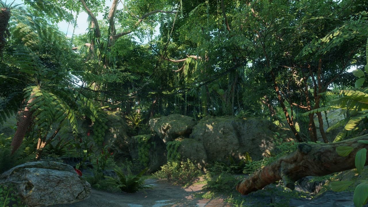 Sacred Nature 11