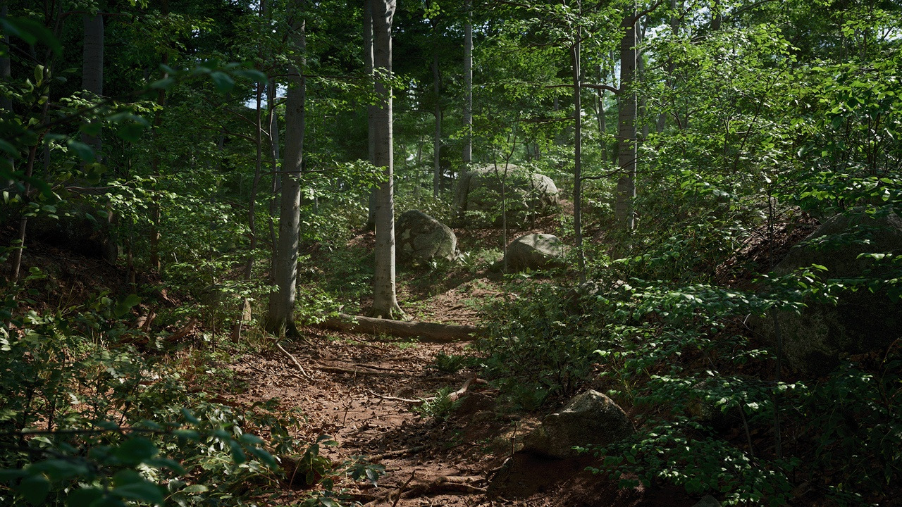 Sacred Nature 1