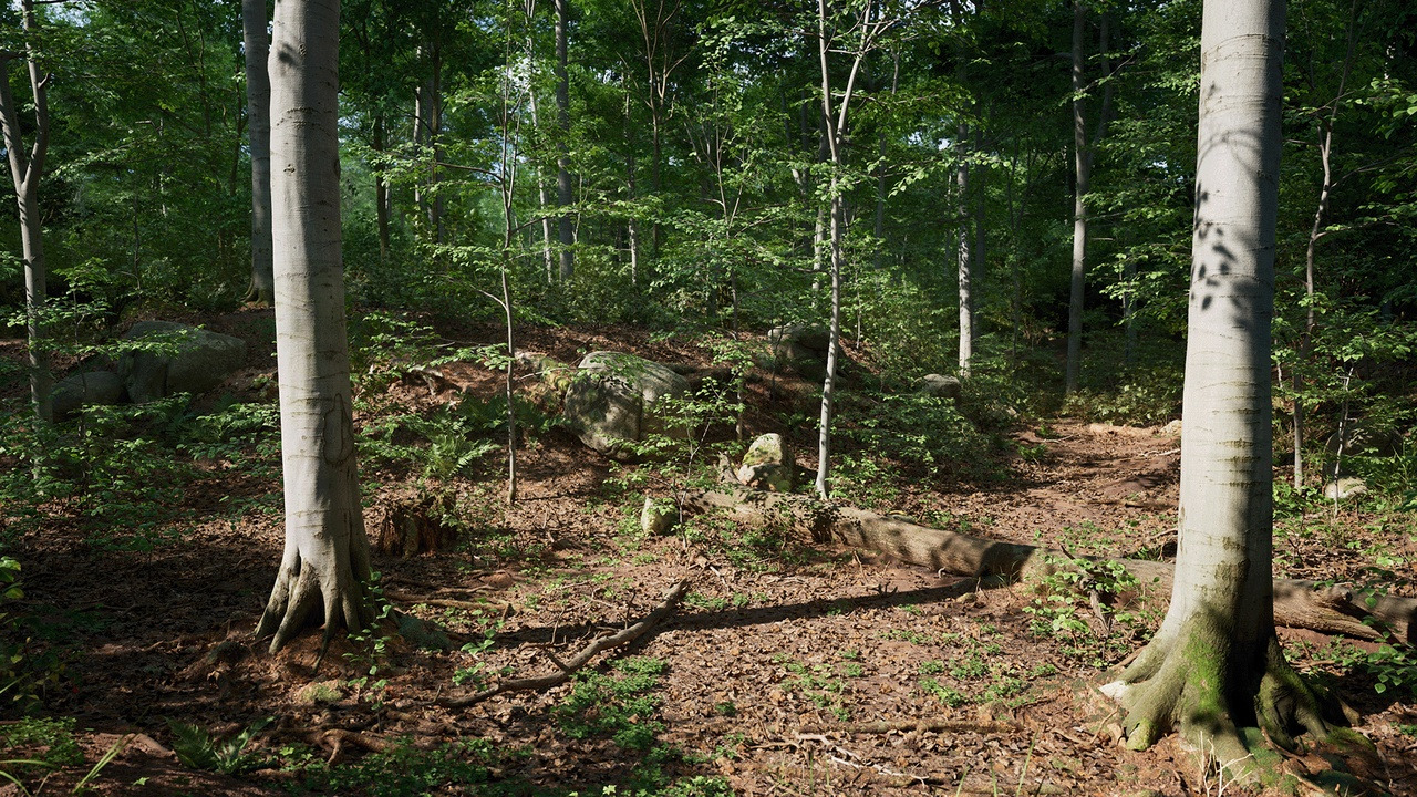 Sacred Nature 2