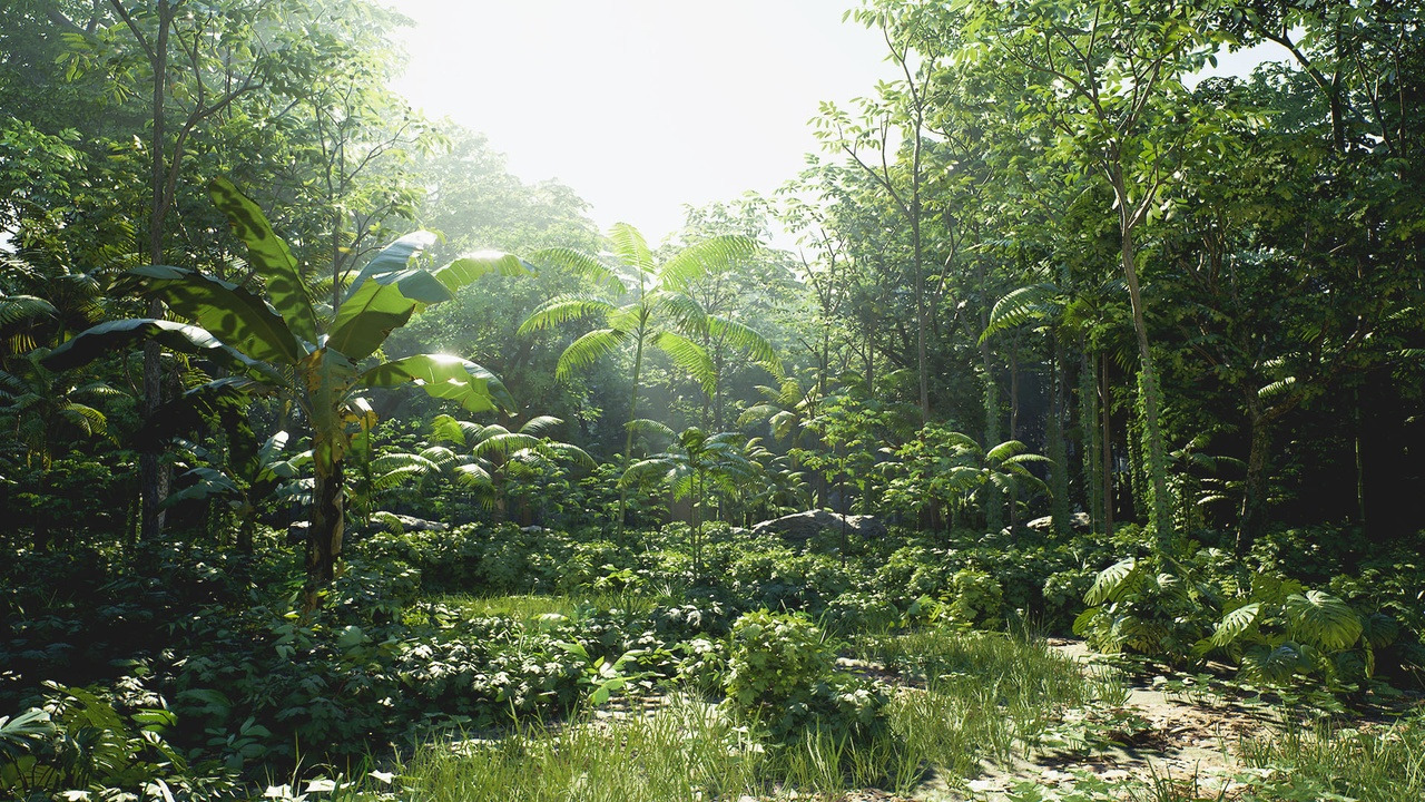 Sacred Nature 16